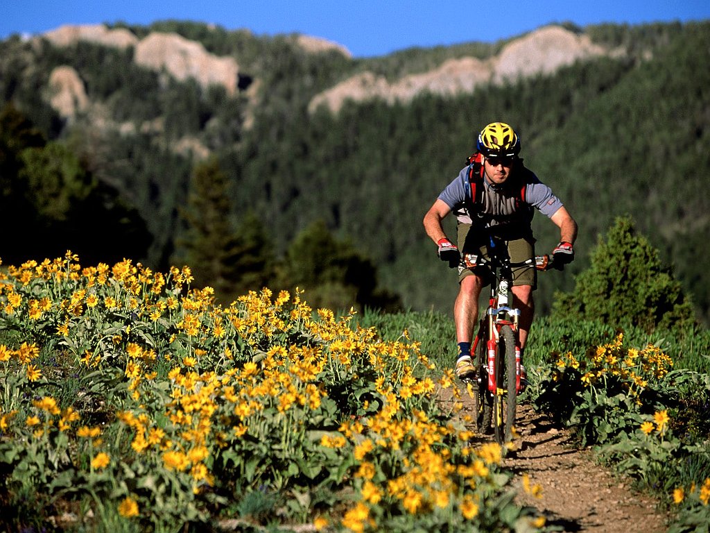 Sypes Canyon, Bozeman, Montana